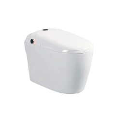 BỒN CẦU ĐIỆN TỬ DK-AC1229