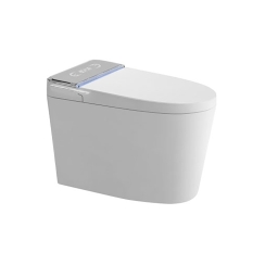 BỒN CẦU THÔNG MINH ST6902E