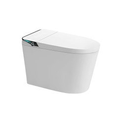 BỒN CẦU THÔNG MINH ST6901E