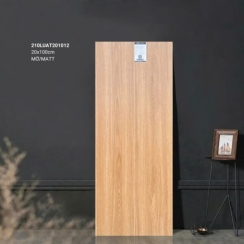 GẠCH GIẢ GỖ 20×100 210LUAT201012
