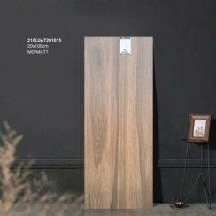 GẠCH GIẢ GỖ 20×100 210LUAT201015