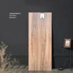 GẠCH VÂN GỖ 20×100 210LUAT201017
