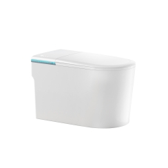 BỒN CẦU THÔNG MINH ST6903E